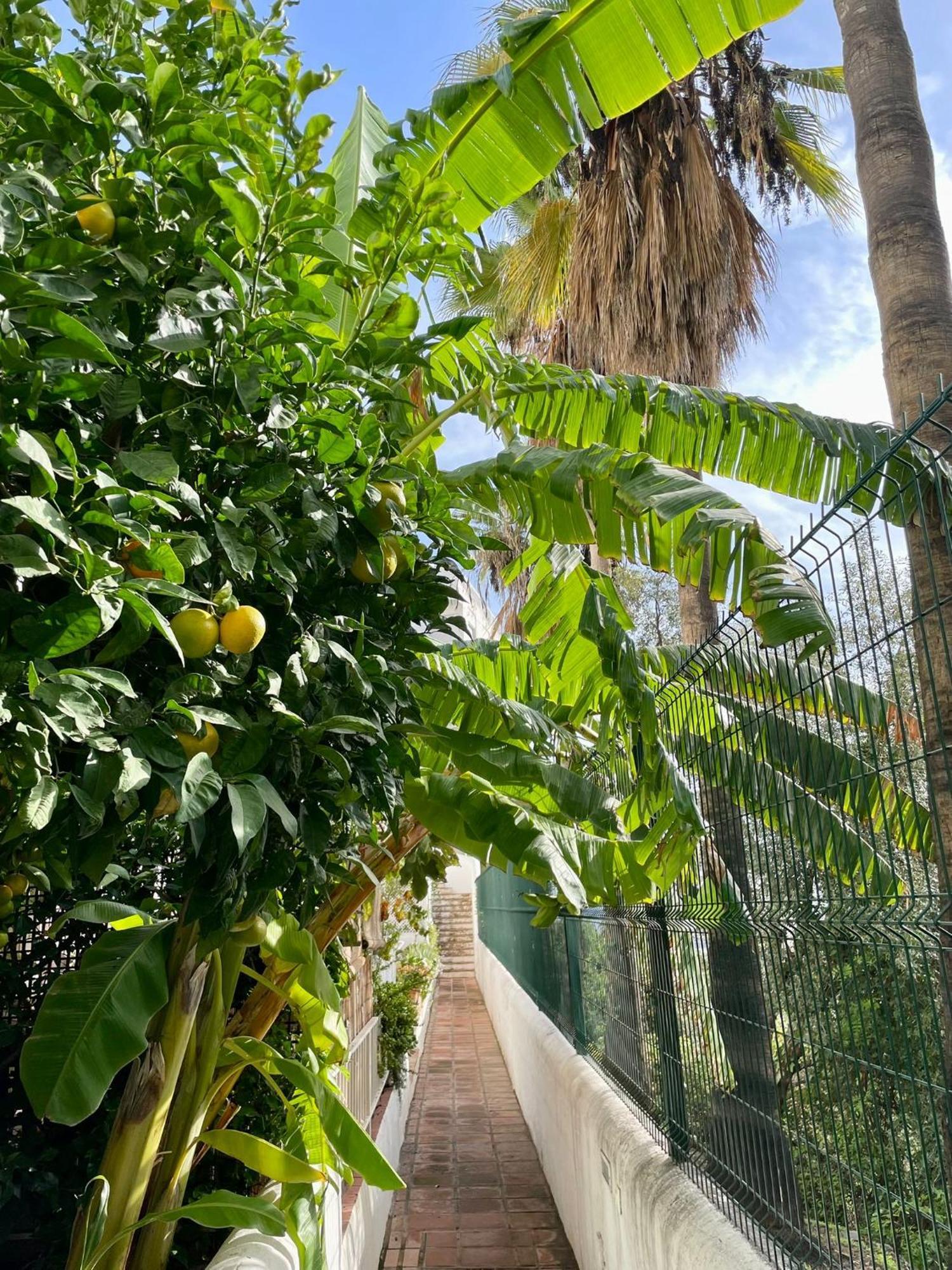Sun Castle Leilighet Fuengirola Eksteriør bilde