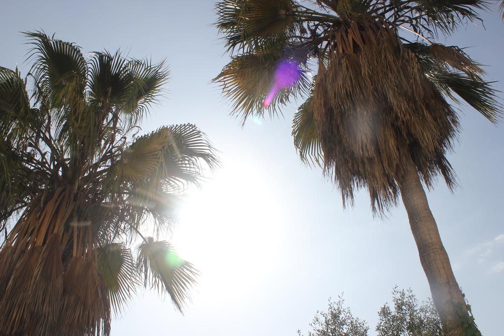 Sun Castle Leilighet Fuengirola Eksteriør bilde